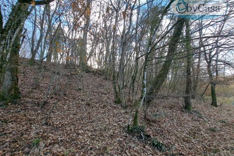 Helårsgrund i Oriolo Romano, Viterbo, Oriolo Romano - € 25.000 | Ref: Oriolo 25.000 - foto 9