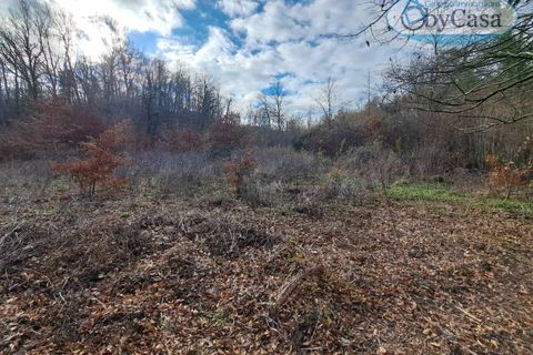 Helårsgrund i Oriolo Romano, Viterbo, Oriolo Romano - € 25.000 | Ref: Oriolo 25.000 - foto 10