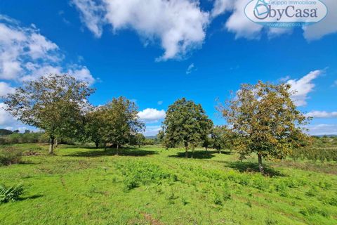 Tomt i Oriolo Romano, Viterbo, Oriolo Romano - € 23 000 | Ref: Oriolo 23.000 - foto 2