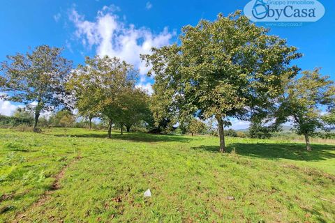 Tomt i Oriolo Romano, Viterbo, Oriolo Romano - € 23 000 | Ref: Oriolo 23.000 - foto 3