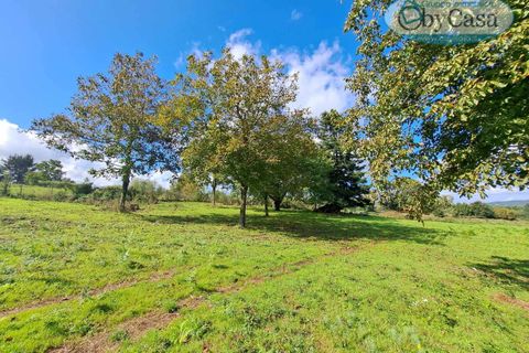Tomt i Oriolo Romano, Viterbo, Oriolo Romano - € 23 000 | Ref: Oriolo 23.000 - foto 4