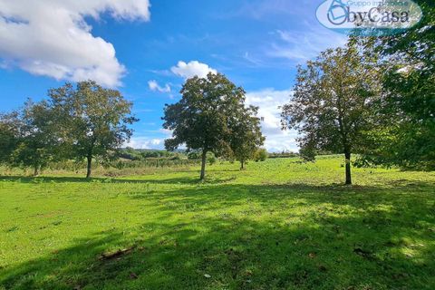 Tomt i Oriolo Romano, Viterbo, Oriolo Romano - € 23 000 | Ref: Oriolo 23.000 - foto 5