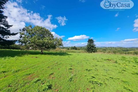 Tomt i Oriolo Romano, Viterbo, Oriolo Romano - € 23 000 | Ref: Oriolo 23.000 - foto 6