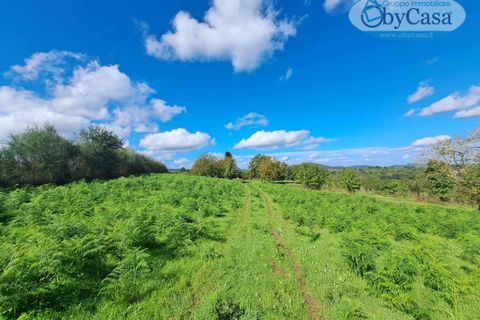 Tomt i Oriolo Romano, Viterbo, Oriolo Romano - € 23 000 | Ref: Oriolo 23.000 - foto 10