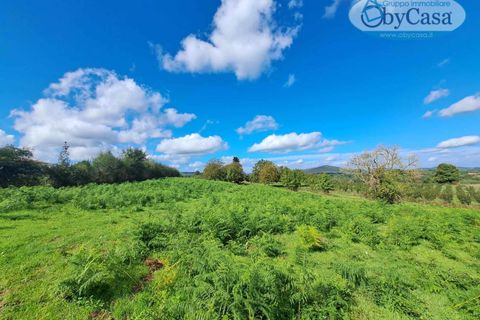 Tomt i Oriolo Romano, Viterbo, Oriolo Romano - € 23 000 | Ref: Oriolo 23.000 - foto 11