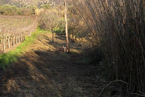 Helårsgrund i Cori, Latina, Cori - € 20.000 | Ref: 2764 - foto 7