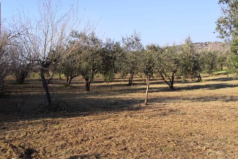 Helårsgrund i Cori, Latina, Cori - € 20.000 | Ref: 2764 - foto 9