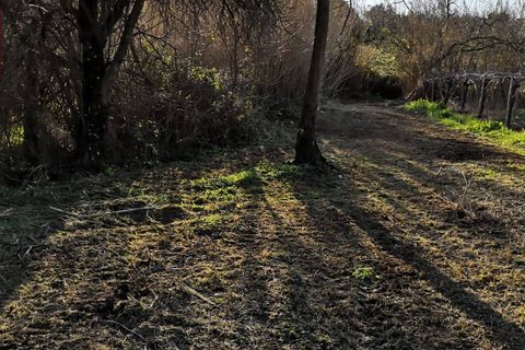 Helårsgrund i Cori, Latina, Cori - € 20.000 | Ref: 2764 - foto 10