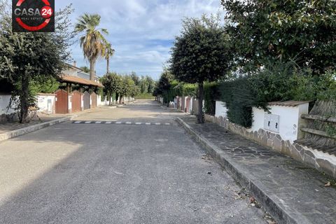 Villa i Sabaudia, Latina, Sabaudia - € 268.000 | Ref: 3037 - foto 41