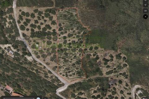 Terra a Calatabiano, Catania, Calatabiano - € 23.000 | Ref: VCAL.1.25 - foto 2