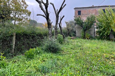 Landejendom i Belvedere Ostrense, Ancona, Belvedere Ostrense - € 88.000 | Ref: 25_no02 - foto 4
