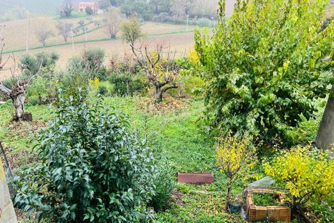 Landejendom i Belvedere Ostrense, Ancona, Belvedere Ostrense - € 88.000 | Ref: 25_no02 - foto 30