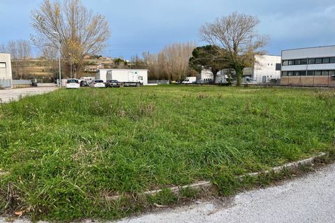 Terra a Montemarciano, Ancona, Montemarciano - € 115.000 | Ref: 21_no20 - foto 2