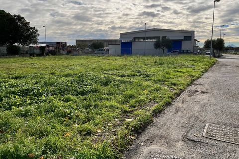 Terra a Montemarciano, Ancona, Montemarciano - € 115.000 | Ref: 21_no20 - foto 3