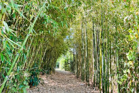 Lejlighed i Corinaldo, Ancona, Corinaldo - € 135.000 | Ref: 22_07 - foto 34