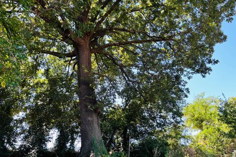Lejlighed i Corinaldo, Ancona, Corinaldo - € 135.000 | Ref: 22_07 - foto 35