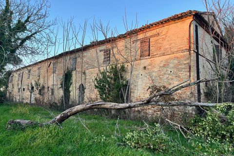 Landejendom i Monte San Vito, Ancona, Monte San Vito - € 450.000 | Ref: 23_no01 - foto 9