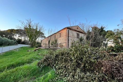 Landejendom i Monte San Vito, Ancona, Monte San Vito - € 450.000 | Ref: 23_no01 - foto 10