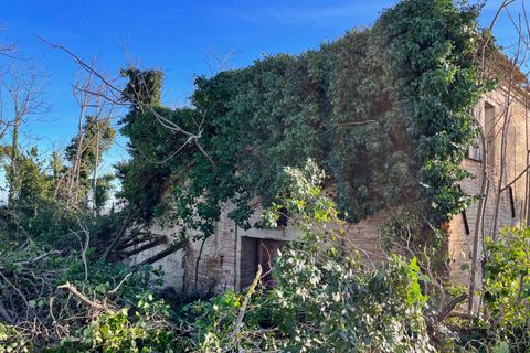 Landejendom i Monte San Vito, Ancona, Monte San Vito - € 450.000 | Ref: 23_no01 - foto 13