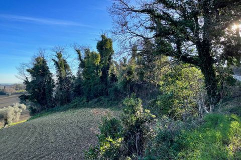 Landejendom i Monte San Vito, Ancona, Monte San Vito - € 450.000 | Ref: 23_no01 - foto 14