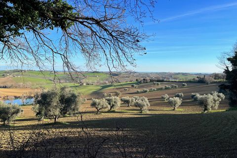 Landejendom i Monte San Vito, Ancona, Monte San Vito - € 450.000 | Ref: 23_no01 - foto 15
