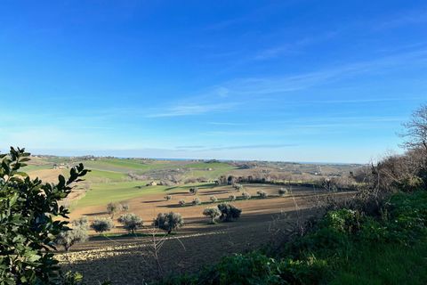 Landejendom i Monte San Vito, Ancona, Monte San Vito - € 450.000 | Ref: 23_no01 - foto 16