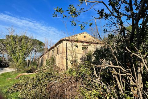 Landejendom i Monte San Vito, Ancona, Monte San Vito - € 450.000 | Ref: 23_no01 - foto 17