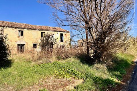 Landejendom i Montemarciano, Ancona, Montemarciano - € 185.000 | Ref: 24_no05 - foto 5
