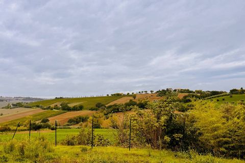 Villa i Morro d'Alba, Ancona, Morro d'Alba - € 240.000 | Ref: 24_no15 - foto 24