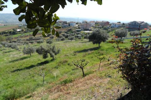 Tomt i Colonnella, Teramo, Colonnella - € 139 000 | Ref: ter3555 - foto 11