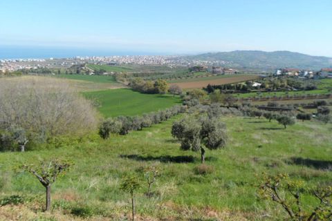 Tomt i Colonnella, Teramo, Colonnella - € 139 000 | Ref: ter3555 - foto 13