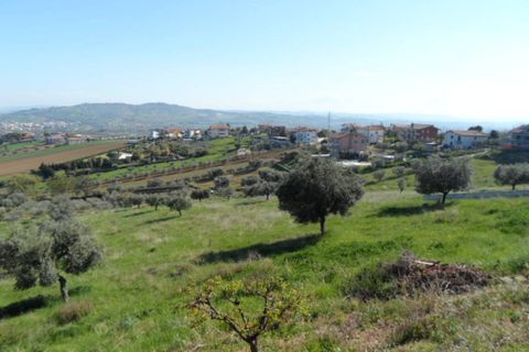 Tomt i Colonnella, Teramo, Colonnella - € 139 000 | Ref: ter3555 - foto 15