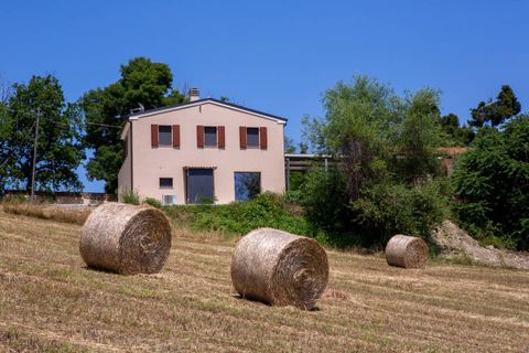 Herregård i Offida, Ascoli Piceno, Offida - € 300 000 | Ref: cas535 - foto 14