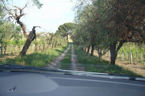 Terreno en Monteprandone, Ascoli Piceno, Monteprandone - € 1.300.000 | Ref: ter549 - photo 3
