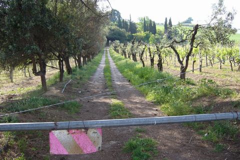 Terreno en Monteprandone, Ascoli Piceno, Monteprandone - € 1.300.000 | Ref: ter549 - photo 4