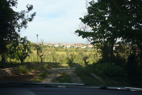 Terreno en Monteprandone, Ascoli Piceno, Monteprandone - € 1.300.000 | Ref: ter549 - photo 6