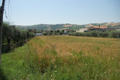 Helårsgrund i Spinetoli, Ascoli Piceno, Spinetoli - € 350.000 | Ref: ter573 - foto 2