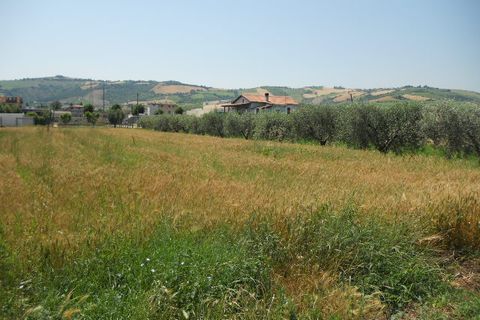 Helårsgrund i Spinetoli, Ascoli Piceno, Spinetoli - € 350.000 | Ref: ter573 - foto 4