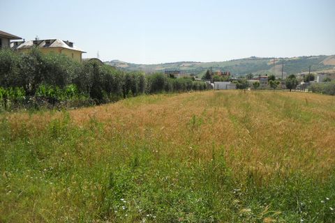 Helårsgrund i Spinetoli, Ascoli Piceno, Spinetoli - € 350.000 | Ref: ter573 - foto 5