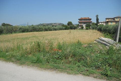 Helårsgrund i Spinetoli, Ascoli Piceno, Spinetoli - € 350.000 | Ref: ter573 - foto 9