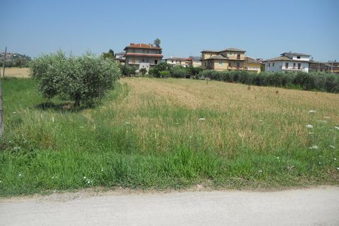 Helårsgrund i Spinetoli, Ascoli Piceno, Spinetoli - € 350.000 | Ref: ter573 - foto 12