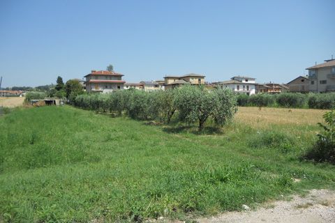 Helårsgrund i Spinetoli, Ascoli Piceno, Spinetoli - € 350.000 | Ref: ter573 - foto 15