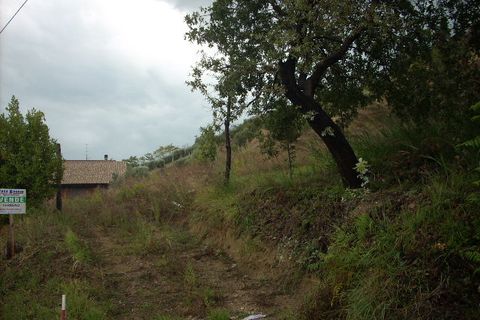 Tomt i Colonnella, Teramo, Colonnella - € 42 000 | Ref: ter181 - foto 7