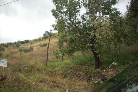 Tomt i Colonnella, Teramo, Colonnella - € 42 000 | Ref: ter181 - foto 8