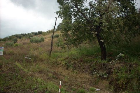 Tomt i Colonnella, Teramo, Colonnella - € 42 000 | Ref: ter181 - foto 9