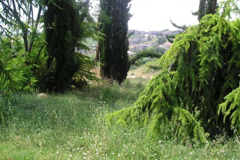 Helårsgrund i Colonnella, Teramo, Colonnella - € 60.000 | Ref: ter647 - foto 5