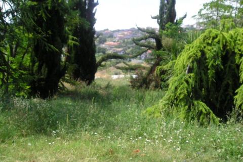 Helårsgrund i Colonnella, Teramo, Colonnella - € 60.000 | Ref: ter647 - foto 6