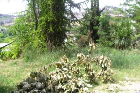 Helårsgrund i Colonnella, Teramo, Colonnella - € 60.000 | Ref: ter647 - foto 7