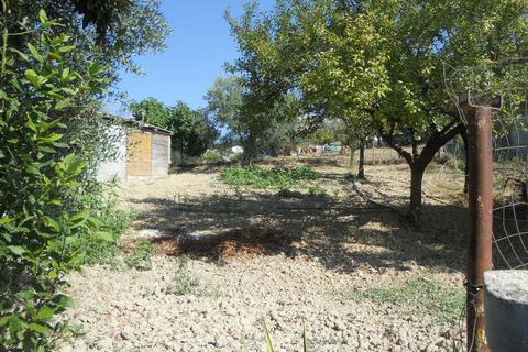 Landejendom i Colonnella, Teramo, Colonnella - € 120.000 | Ref: cas661 - foto 9