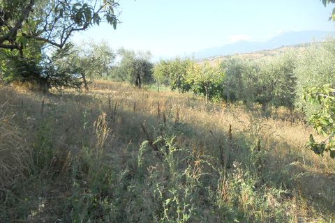 Landejendom i Colonnella, Teramo, Colonnella - € 120.000 | Ref: cas661 - foto 13
